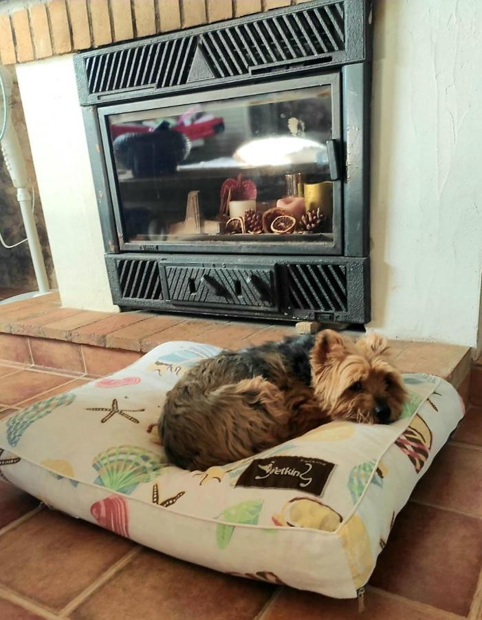 Vila La Ultima Casa Masboquera Mas Boquera Exteriér fotografie